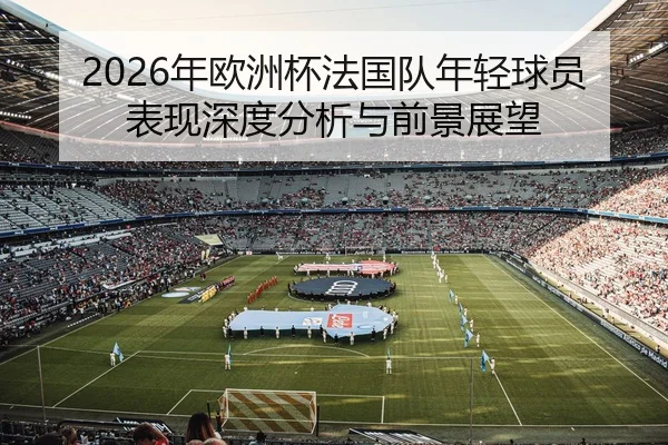 2026年欧洲杯法国队年轻球员表现深度分析与前景展望