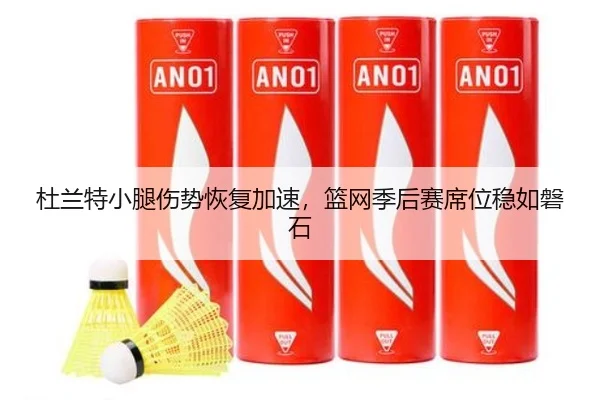 杜兰特小腿伤势恢复加速，篮网季后赛席位稳如磐石
